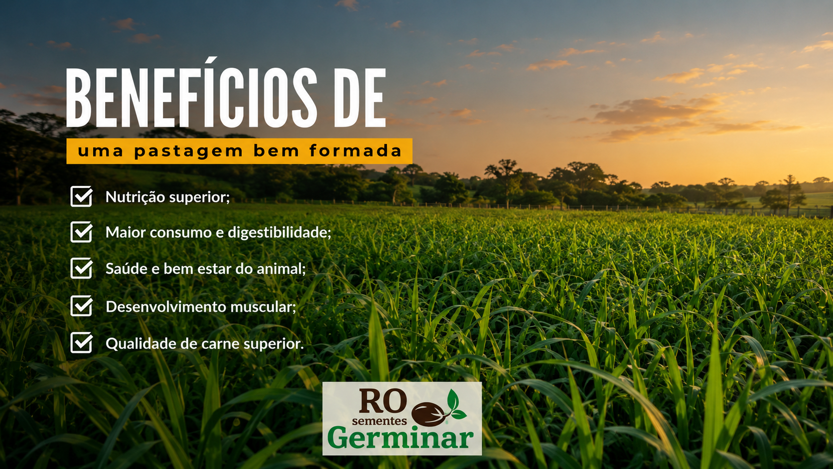 Benefícios Sementes Germinar