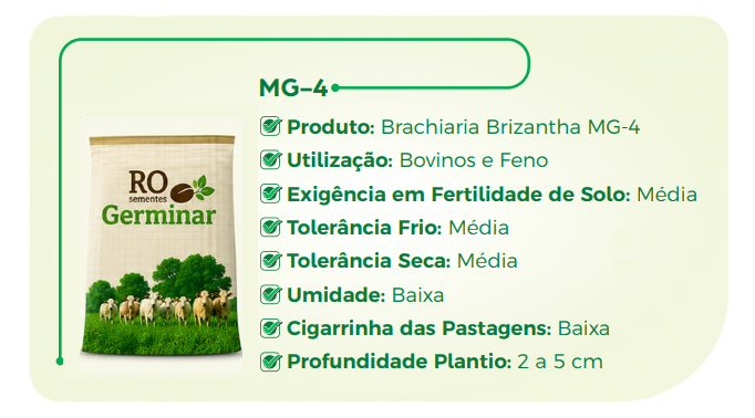 Semente Germinar - Cultivar 1
