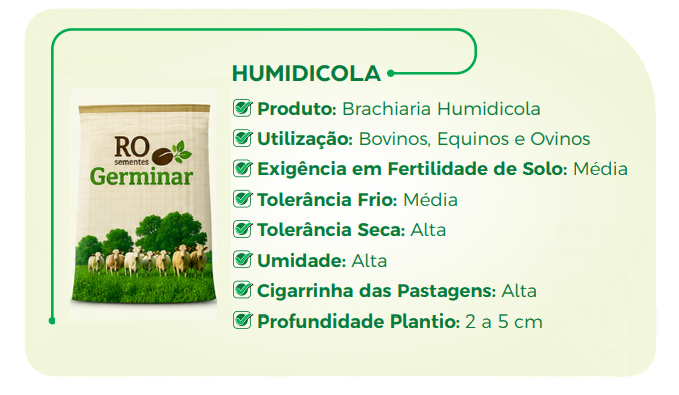 Semente Germinar - Cultivar 10