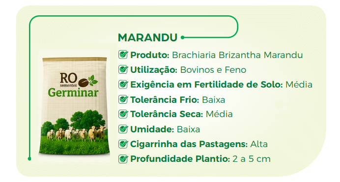 Semente Germinar - Cultivar 11