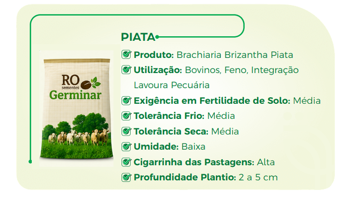 Semente Germinar - Cultivar 12