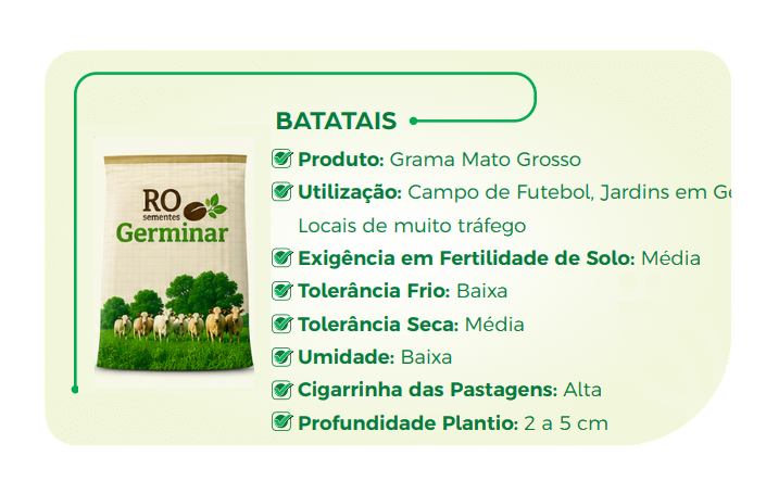 Semente Germinar - Cultivar 13