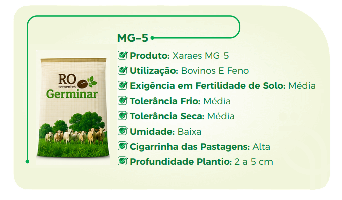 Semente Germinar - Cultivar 2