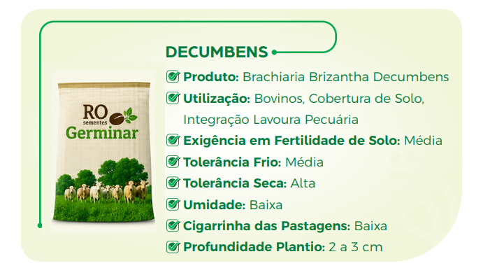 Semente Germinar - Cultivar 3