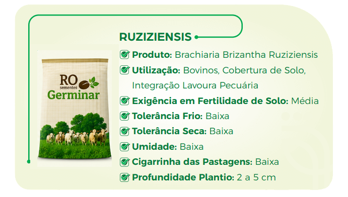 Semente Germinar - Cultivar 4