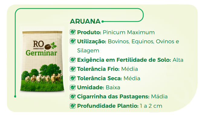 Semente Germinar - Cultivar 5