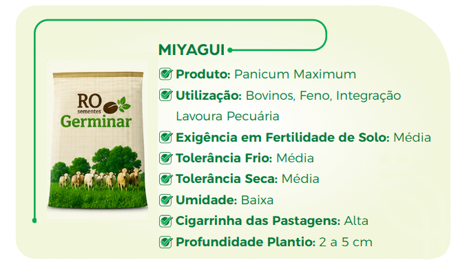 Semente Germinar - Cultivar 6