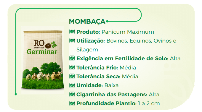 Semente Germinar - Cultivar 7