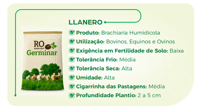 Semente Germinar - Cultivar 9